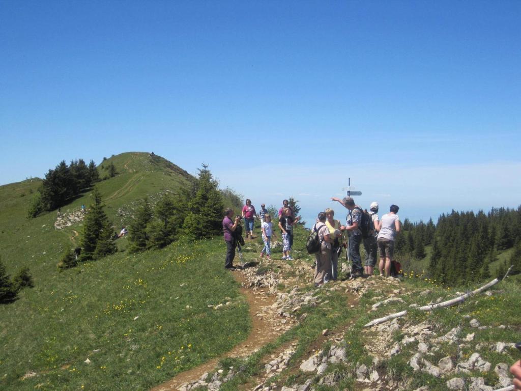 Apart Greber Andelsbuch Εξωτερικό φωτογραφία